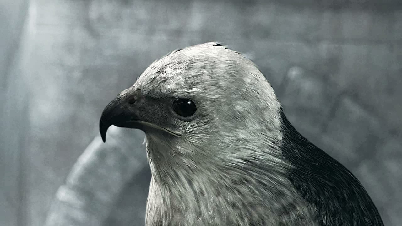 What Else Game Devs Do, with Masao Kobayashi